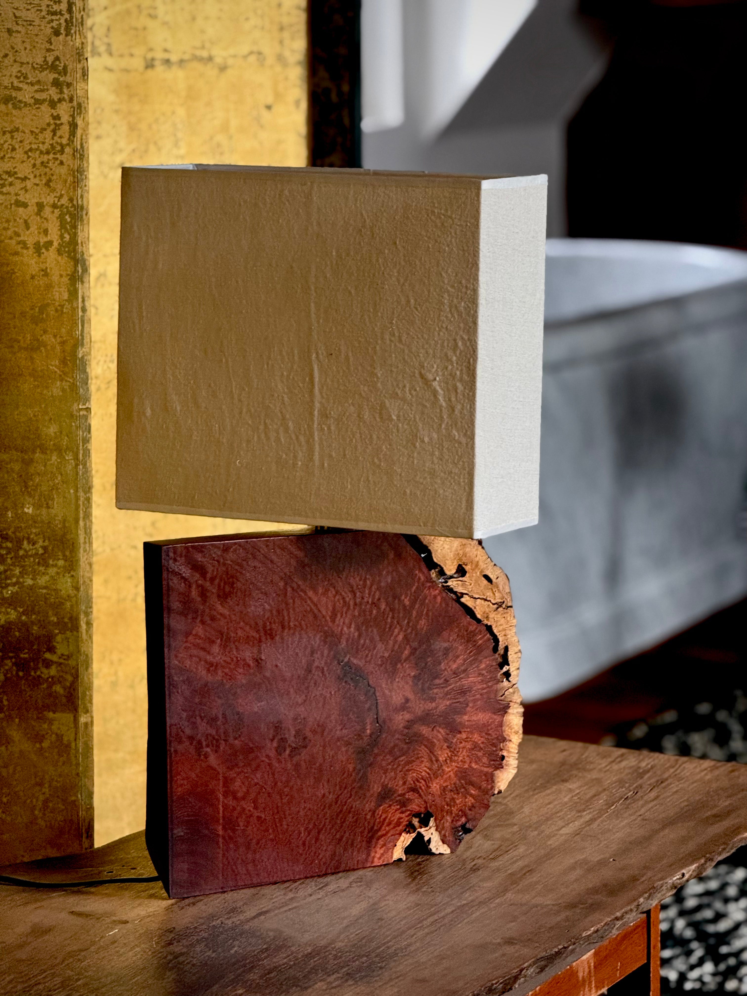 MU | The Living Chronicle